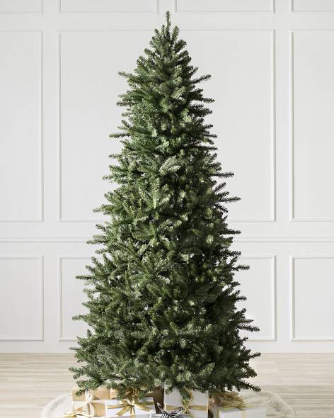 Berkshire Mountain Fir Tree- child-1
